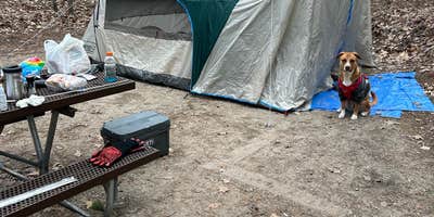 Camping