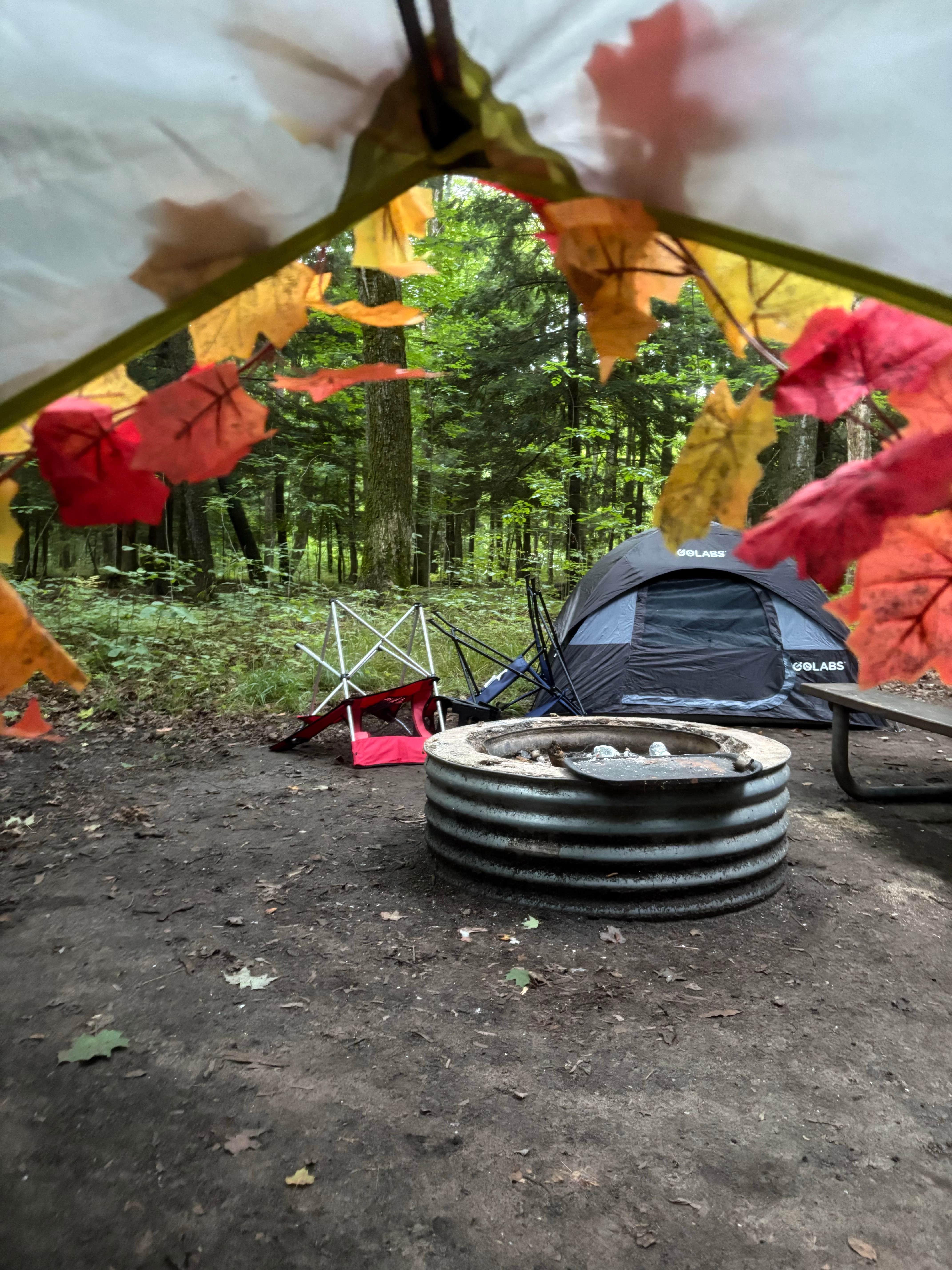 Camper-submitted photo at Platte River State Forest near Arcadia, MI