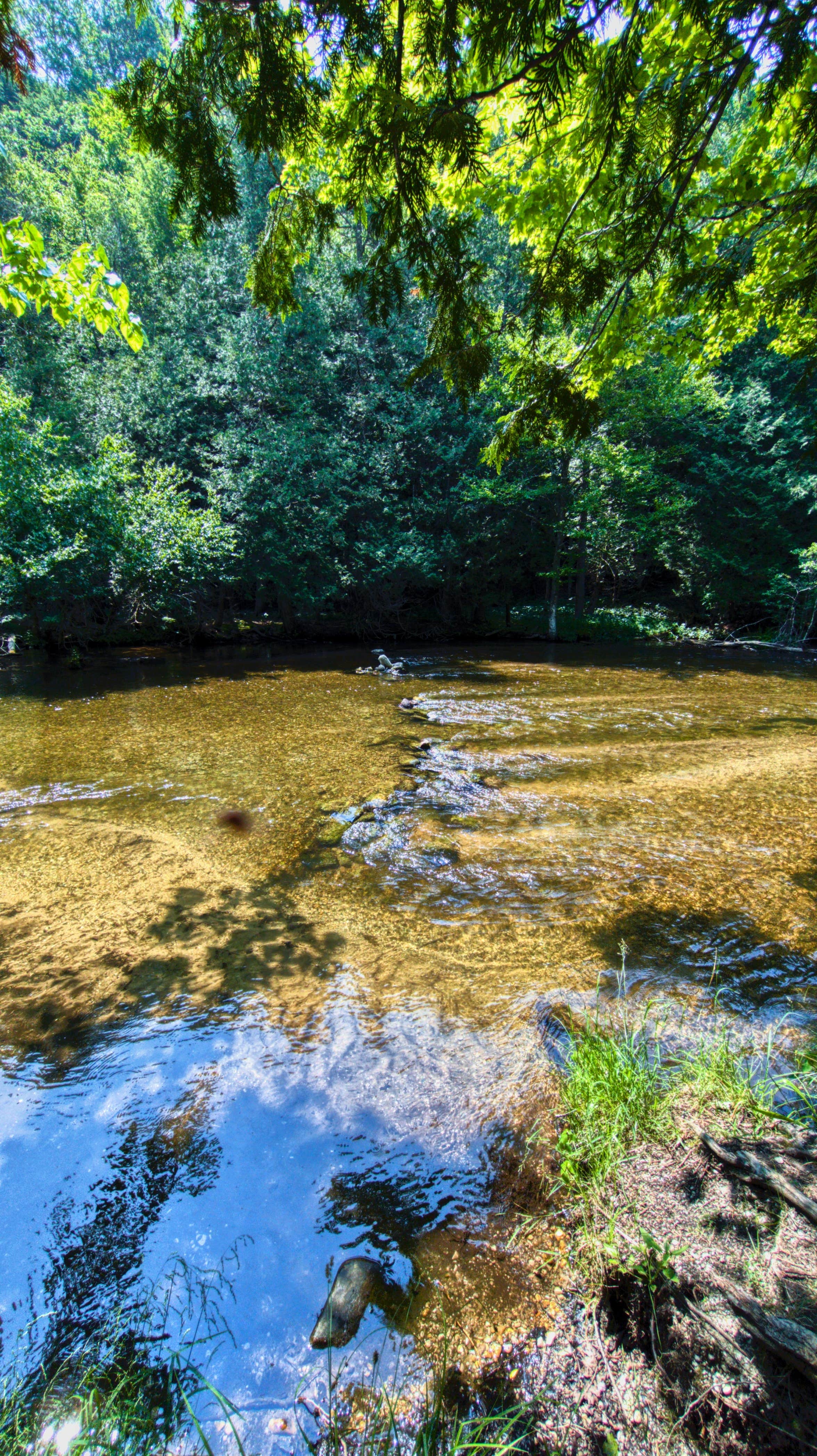 Camper-submitted photo at Platte River State Forest near Frankfort, MI