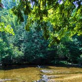 Review photo of Platte River State Forest by Chris G., July 12, 2025