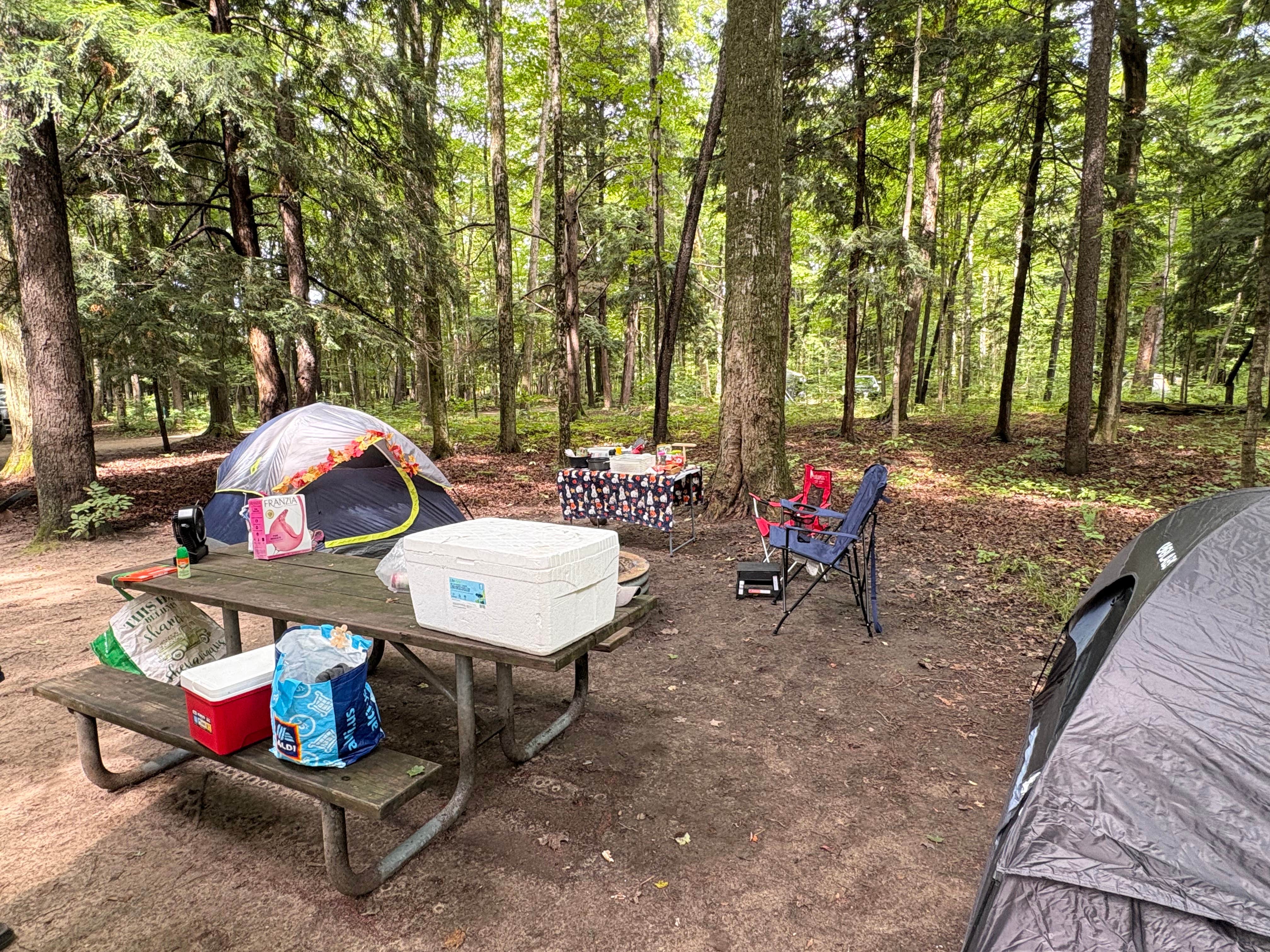Camper-submitted photo at Platte River State Forest near Arcadia, MI