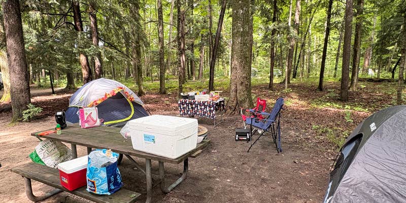Camper submitted image from Platte River State Forest