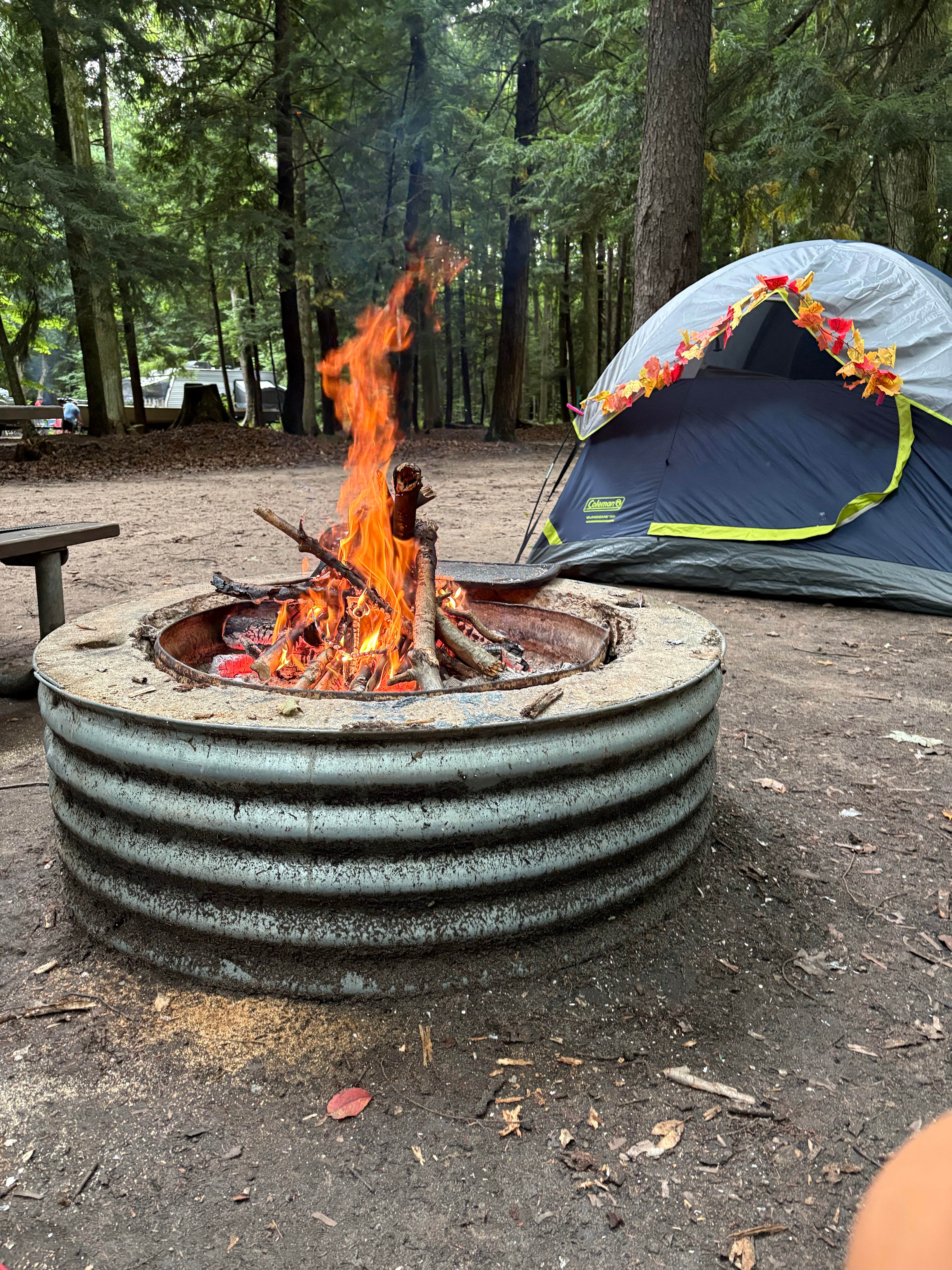Camper-submitted photo at Platte River State Forest near Arcadia, MI