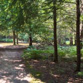 Review photo of Platte River State Forest by Chris G., July 12, 2025