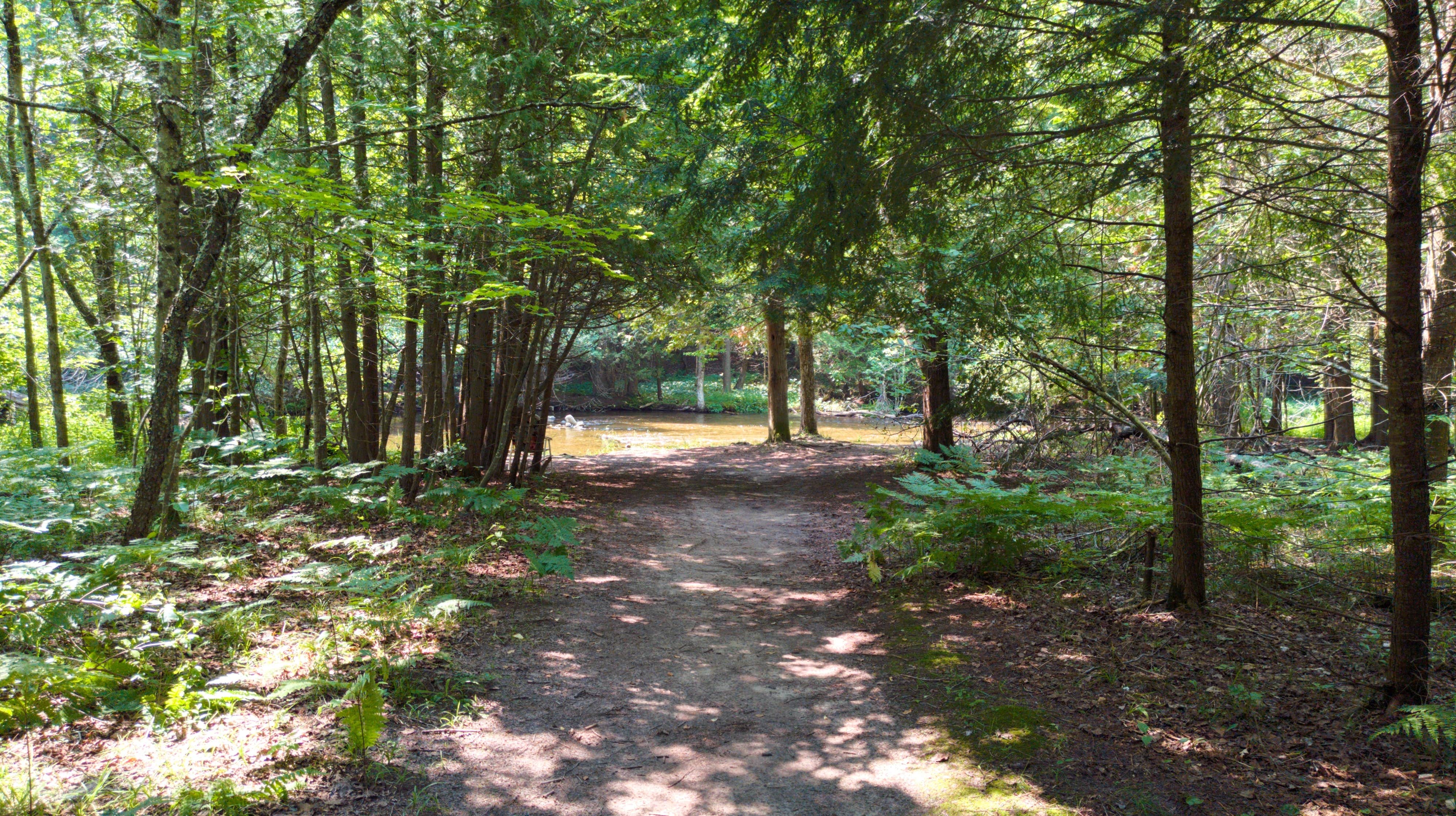 Camper submitted image from Platte River State Forest - 4