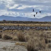 Review photo of Playa Dispersed Campsite by ken , February 24, 2025