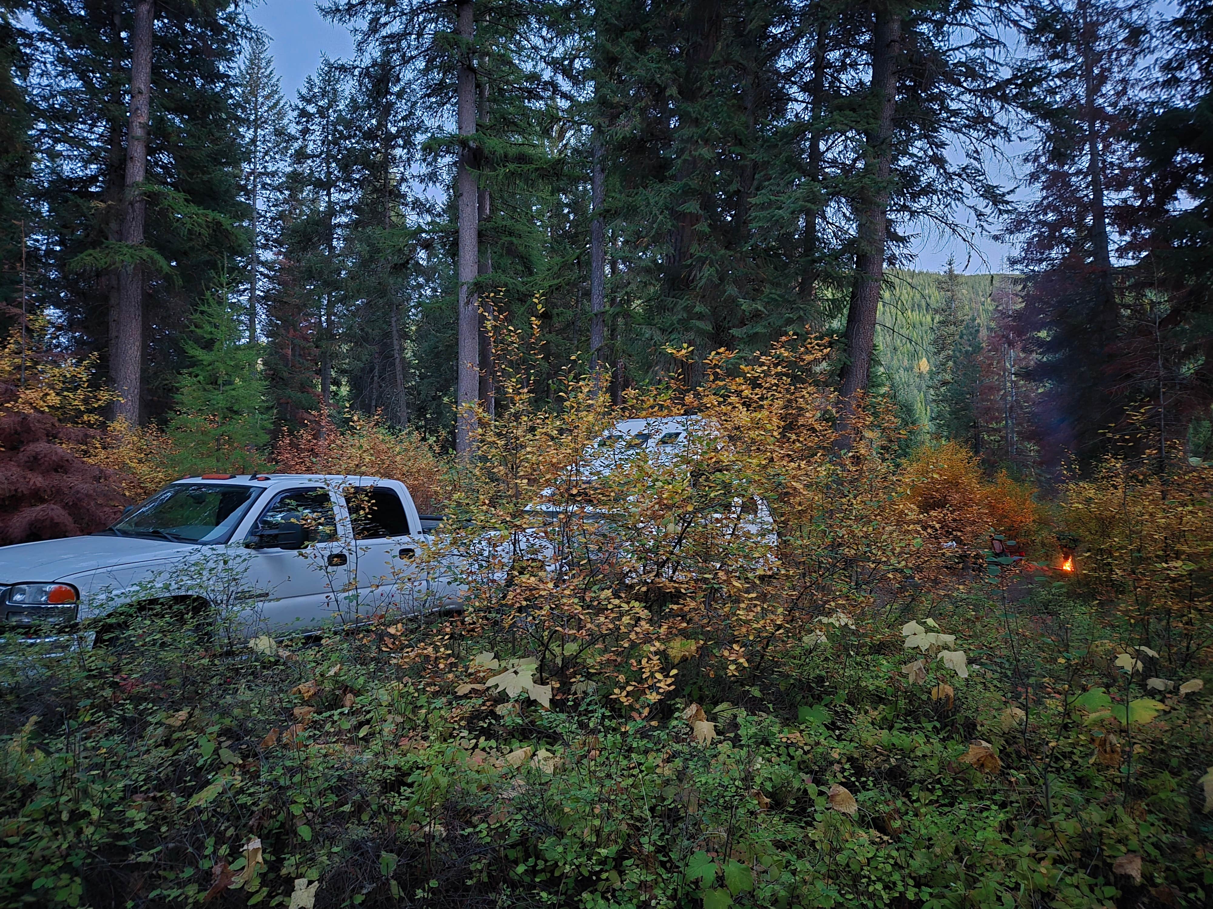 Camper-submitted photo at Pleasant Valley Campground near Libby, MT