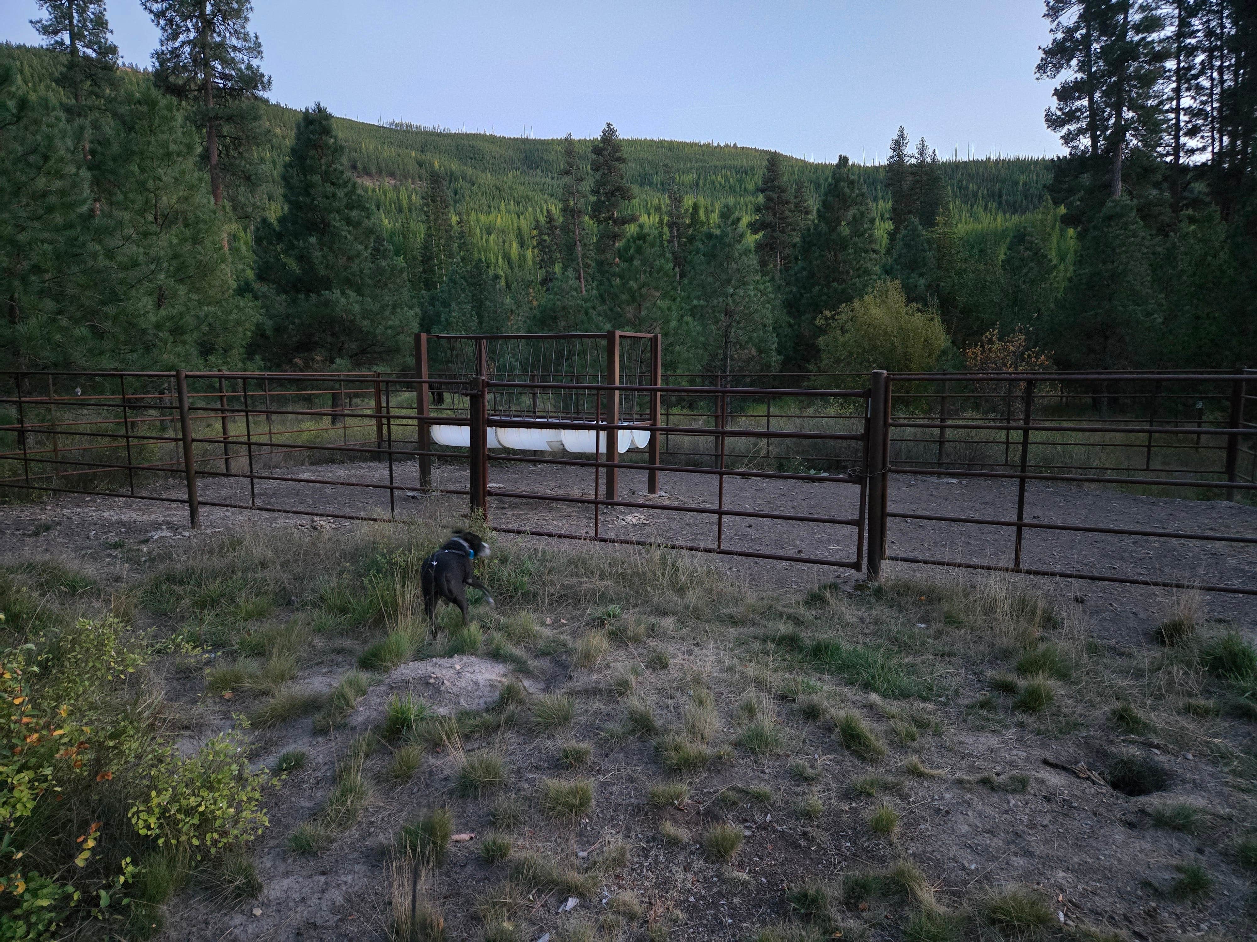 Camper-submitted photo at Pleasant Valley Campground near Libby, MT