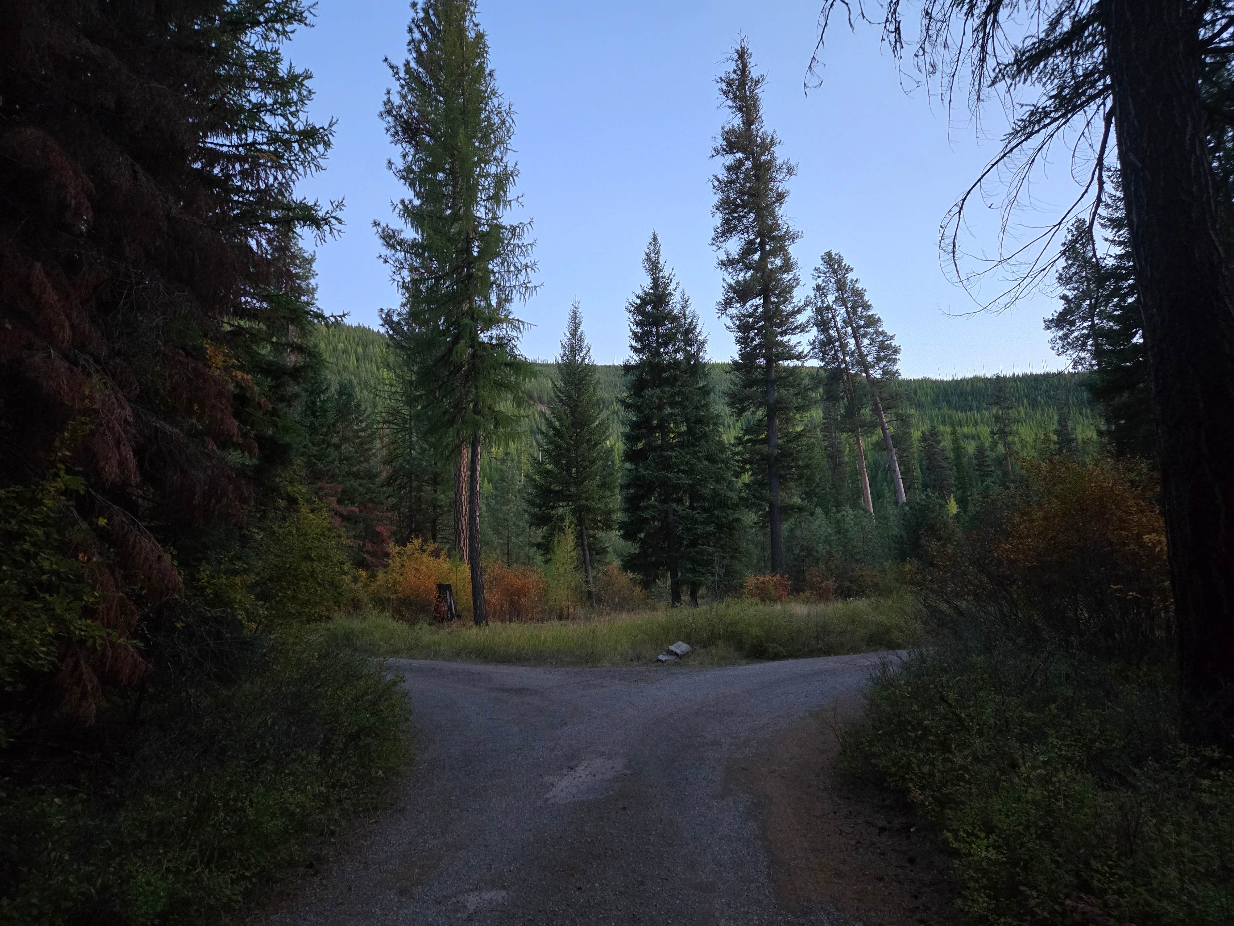 Camper-submitted photo at Pleasant Valley Campground near Libby, MT