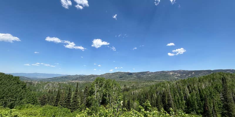 Camper submitted image from Pleasant Valley Roadside Camp on Hwy 40