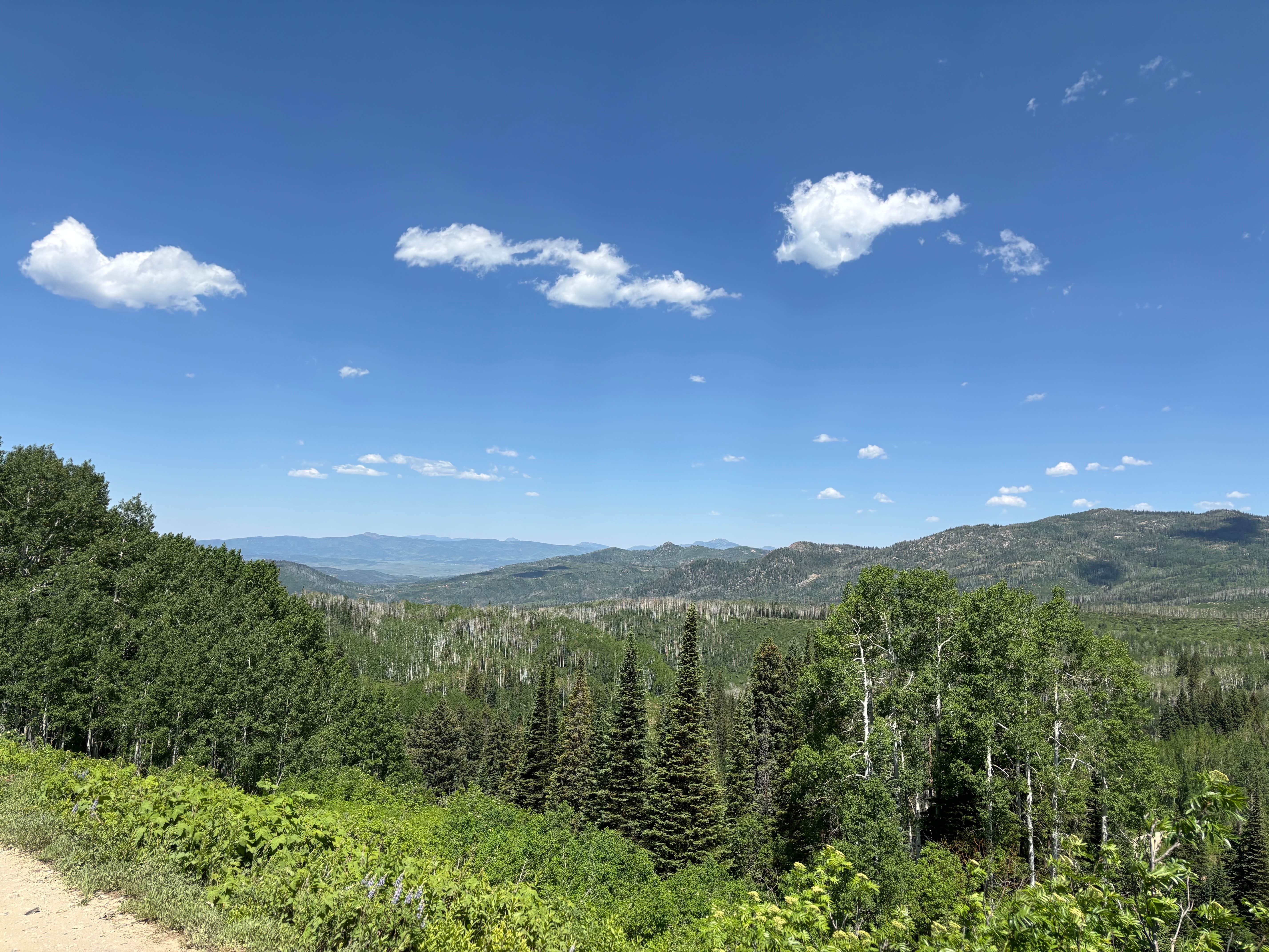 Nora S.'s photo of a dispersed camping area at Pleasant Valley Roadside Camp on Hwy 40 near Clark, CO