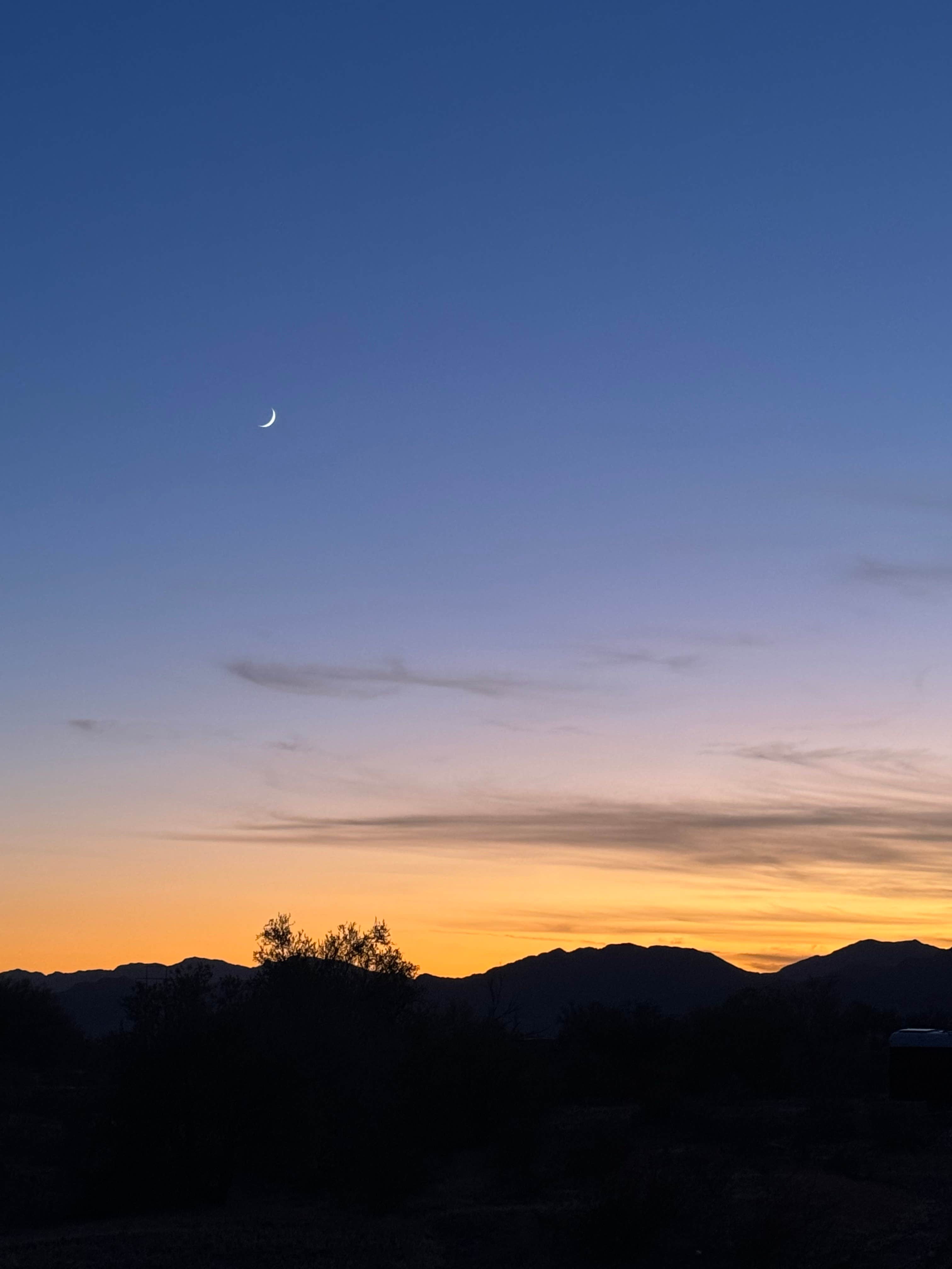 Camper-submitted photo at Plomosa Road near Quartzsite, AZ