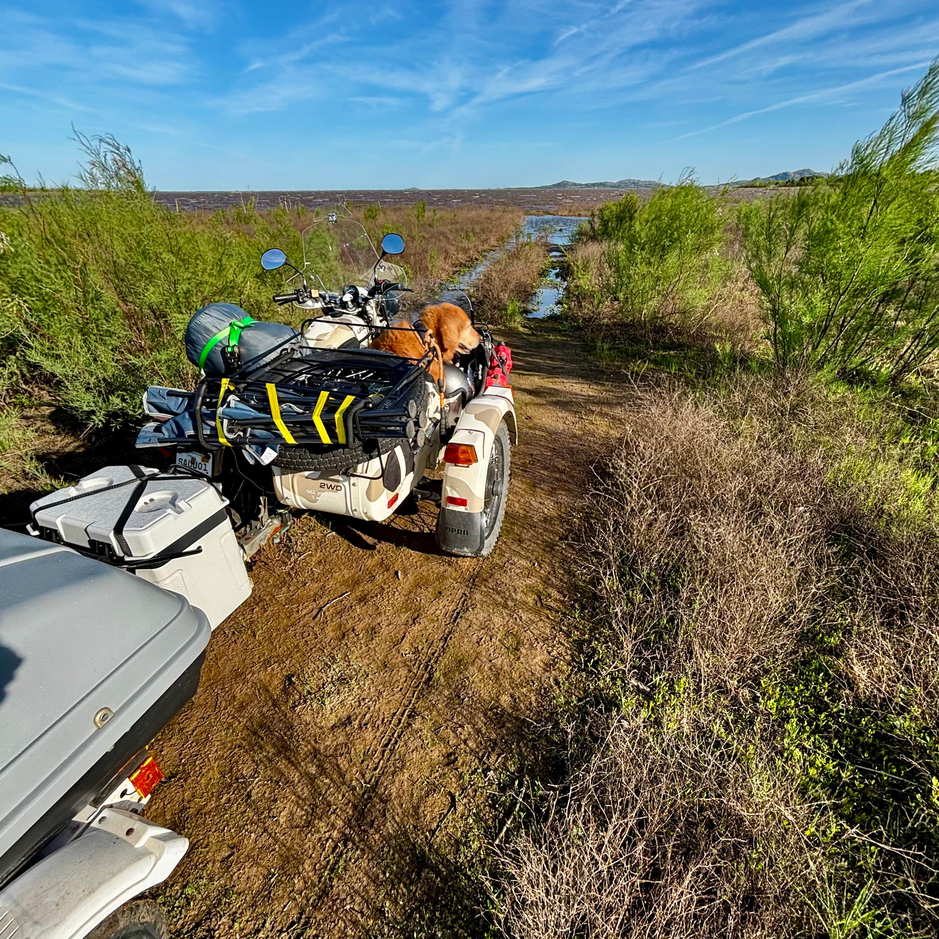 Camper submitted image from Plum Creek Campgrounds - 3