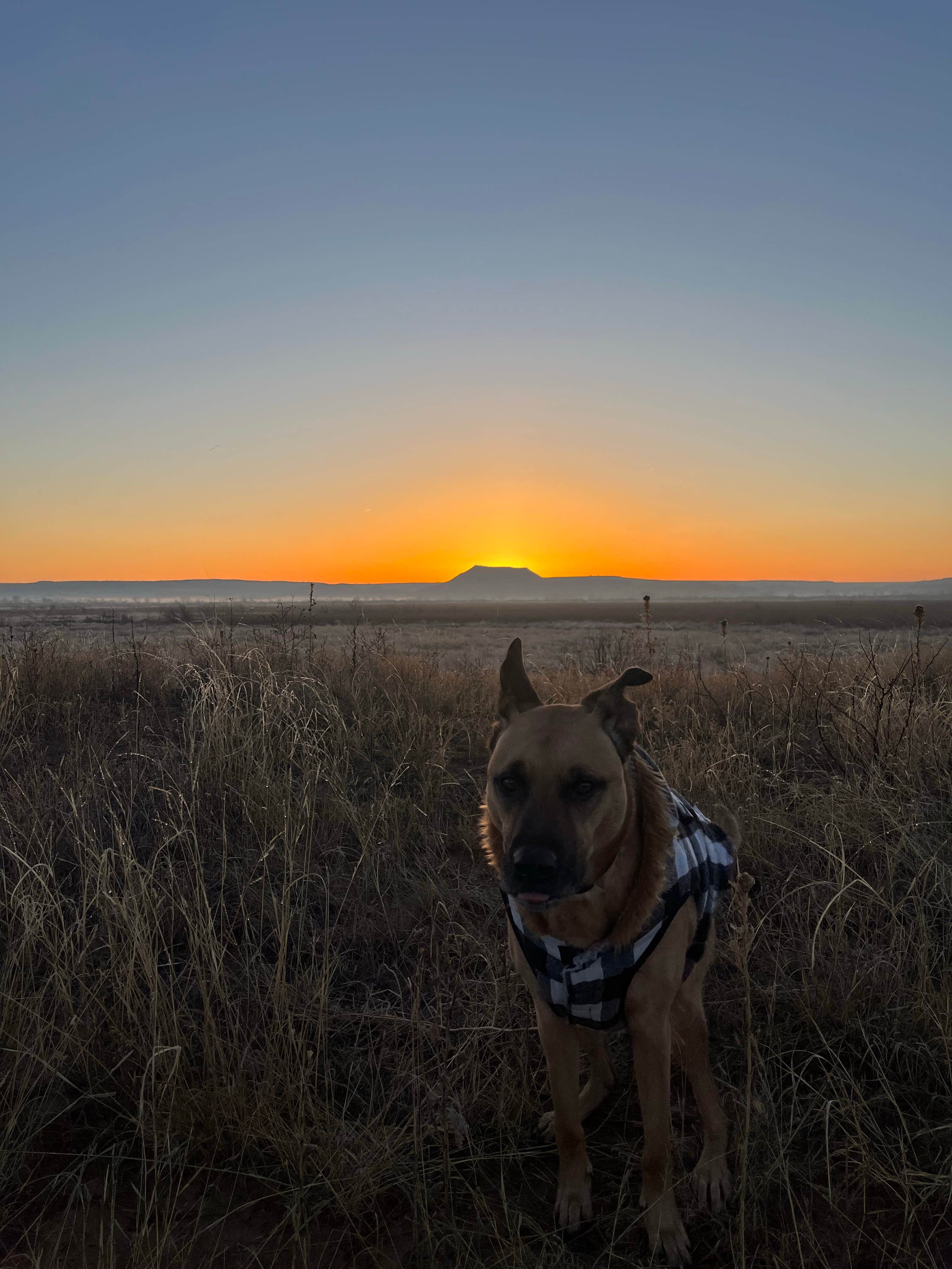 Camper-submitted photo at Plum Creek — Lake Meredith National Recreation Area near Lake Meredith National Recreation Area