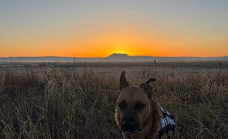 Andrew K.'s photo of camping with pets at Plum Creek — Lake Meredith National Recreation Area near Fritch, TX