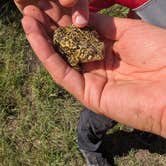 Review photo of Plum Creek Park Campground by Amanda S., June 7, 2026