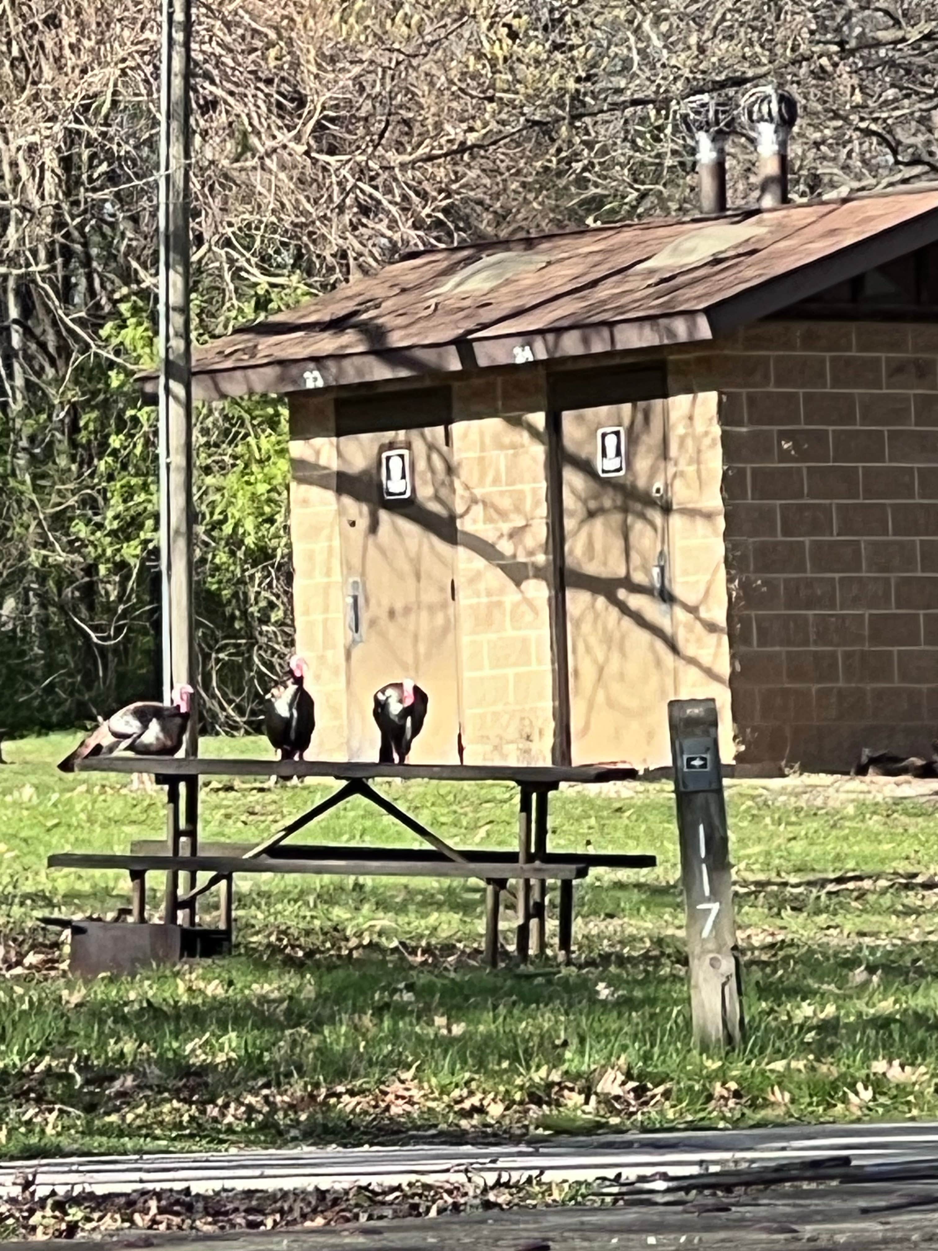 Camper-submitted photo at Plum Grove at Rock Cut State Park near Loves Park, IL