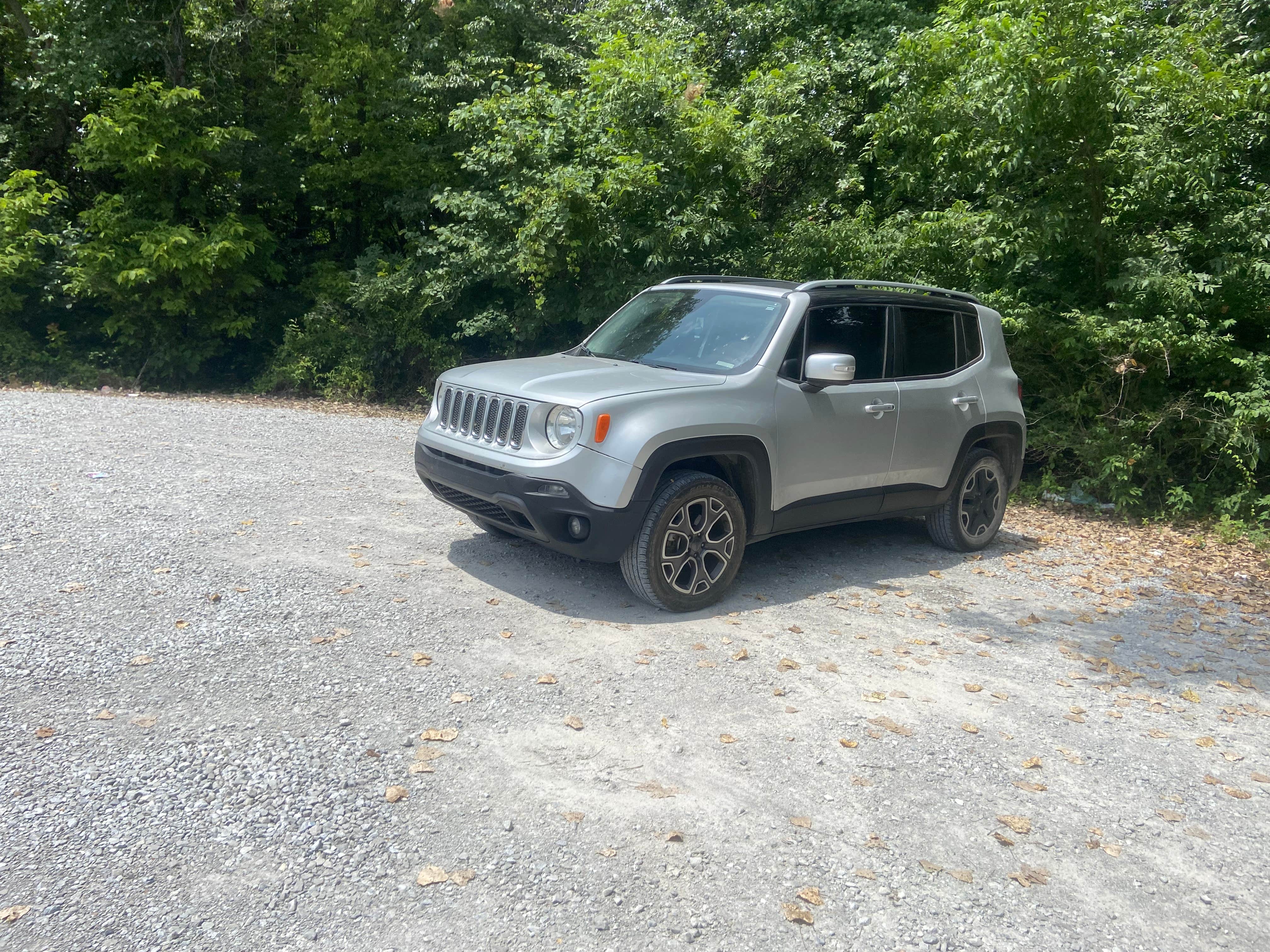 Camper submitted image from Poague Campsite #5 - 1