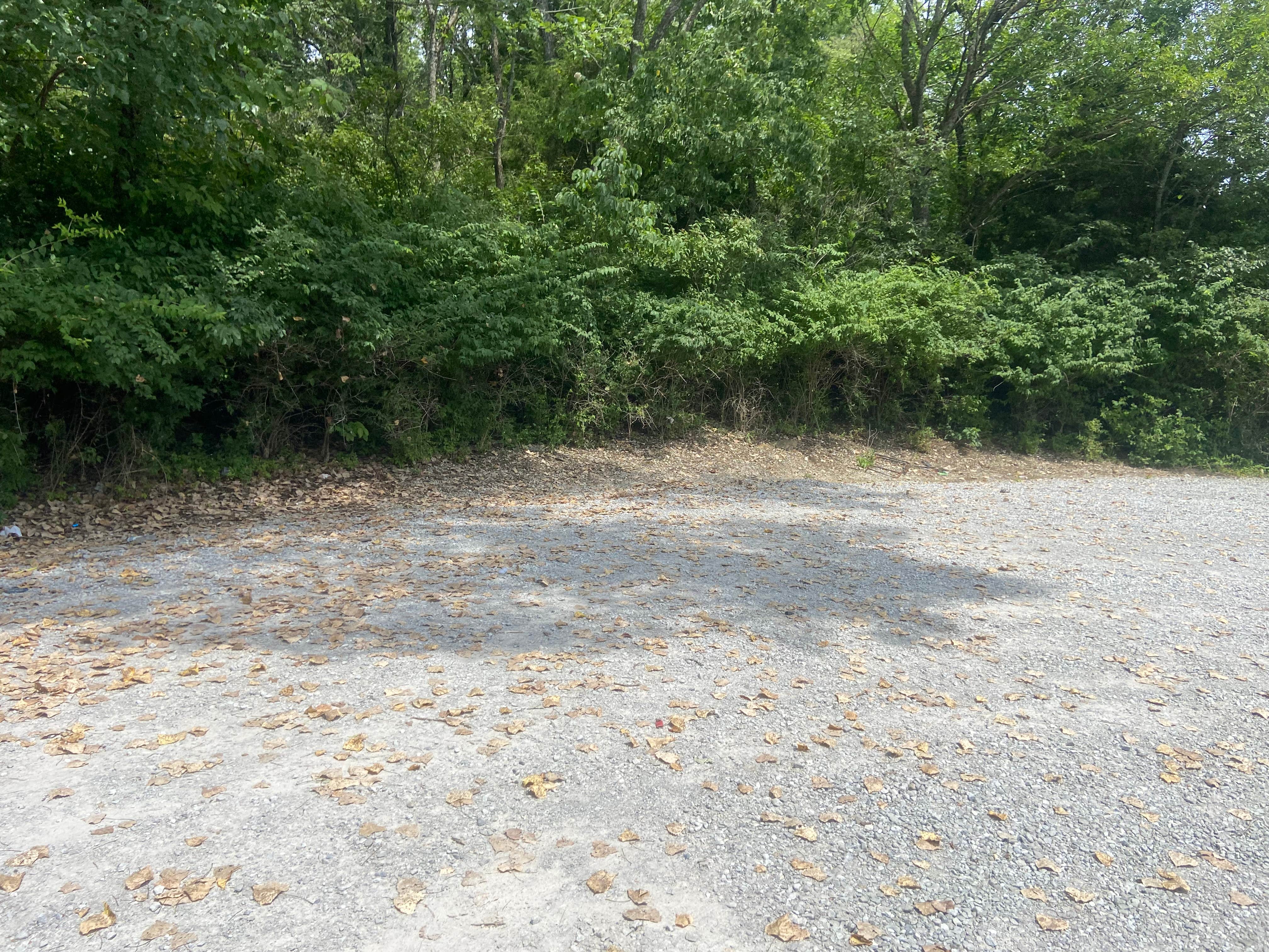 Camper-submitted photo at Poague Campsite #5 near Garden City, MO