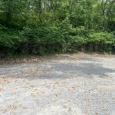Review photo of Poague Campsite #5 by Logan M., August 3, 2025