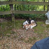 Review photo of Pocket Campground — Chattahoochee Oconee National Forest by Taylor H., May 24, 2026