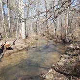 Review photo of Pocket Campground — Chattahoochee Oconee National Forest by Sarah H., August 22, 2024