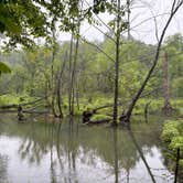 Review photo of Pocket Campground — Chattahoochee Oconee National Forest by Taylor H., May 24, 2026