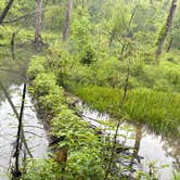 Review photo of Pocket Campground — Chattahoochee Oconee National Forest by Taylor H., May 24, 2026