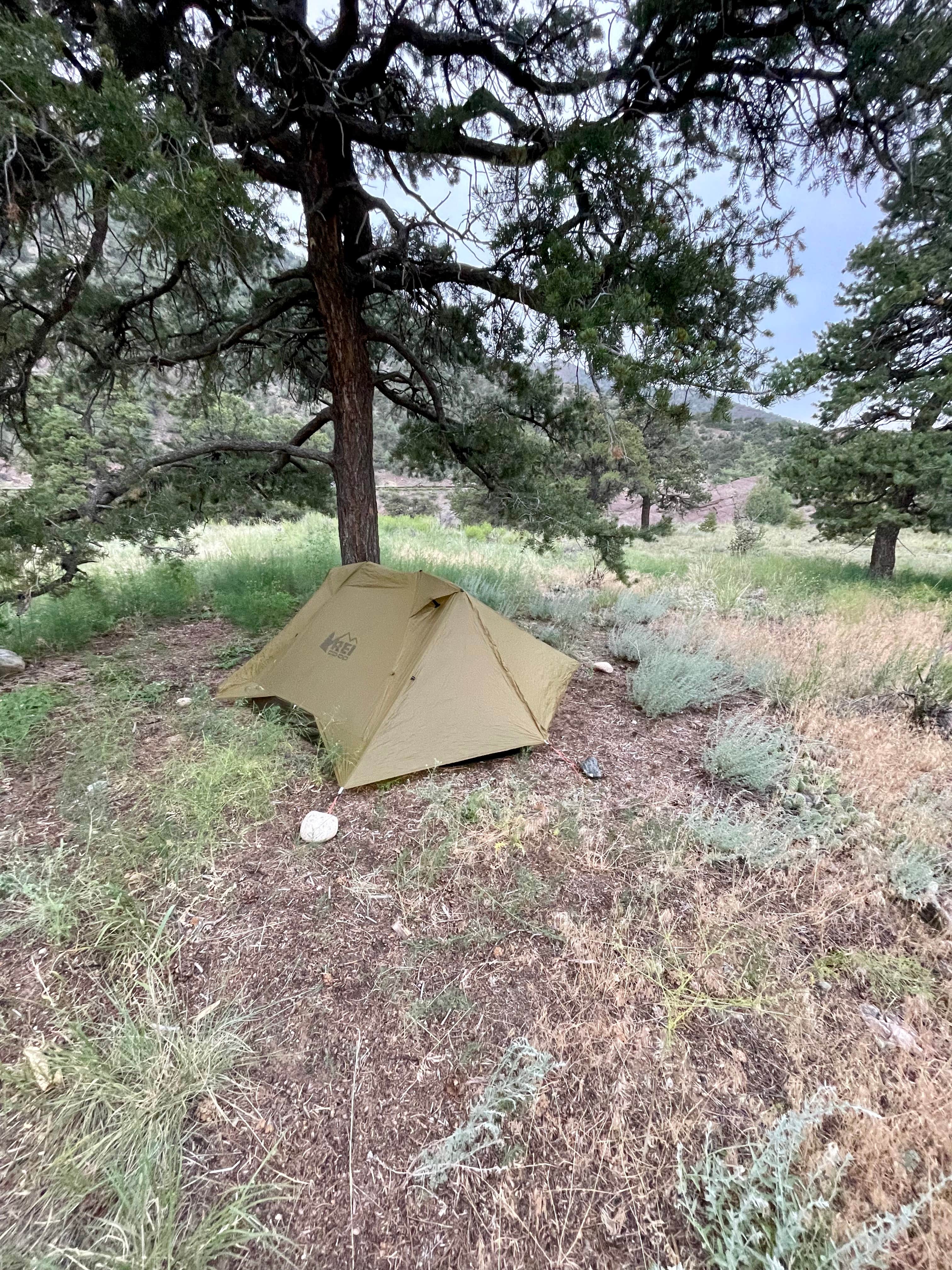 Camper submitted image from Point Barr Campground — Arkansas Headwaters Recreation Area - 1