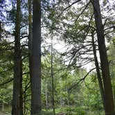 Review photo of Point Beach State Forest by Terry Z., July 8, 2026