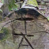 Review photo of Point Beach State Forest by Jay W., June 17, 2026