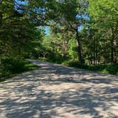 Review photo of Point Beach State Forest by Terry L., July 6, 2024