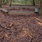 Review photo of Point Beach State Forest by Jay W., June 17, 2026