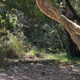 Review photo of Sycamore Canyon Campground — Point Mugu State Park by Ali H., July 7, 2026