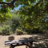 Review photo of Sycamore Canyon Campground — Point Mugu State Park by Ali H., July 7, 2026