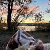 Review photo of Point of Rocks Jefferson River Campsite by Juliana J., October 23, 2026