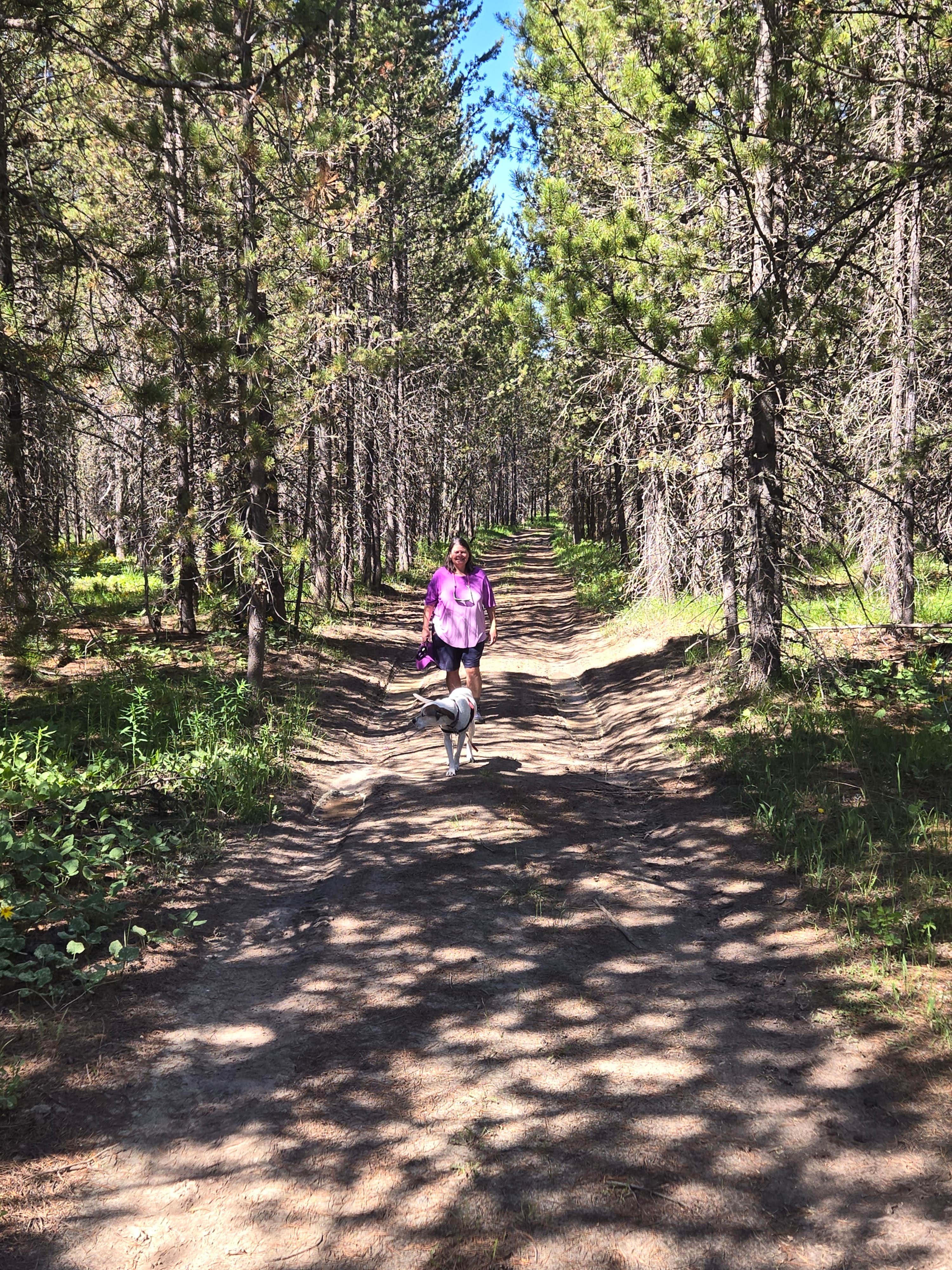 Camper-submitted photo at Pole Bridge Campground near Island Park, ID