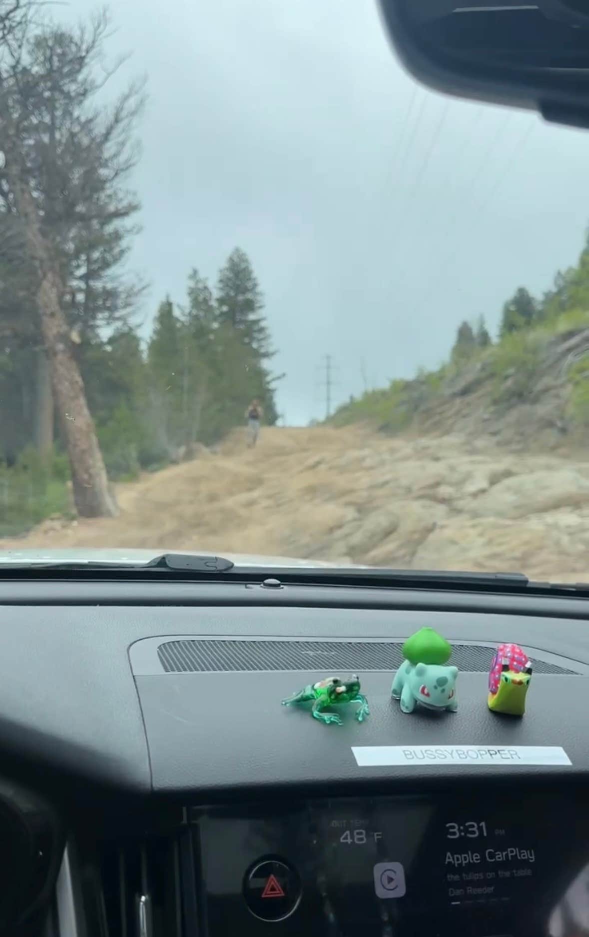 Camper-submitted photo at Pole Hill Rd Dispersed near Estes Park, CO