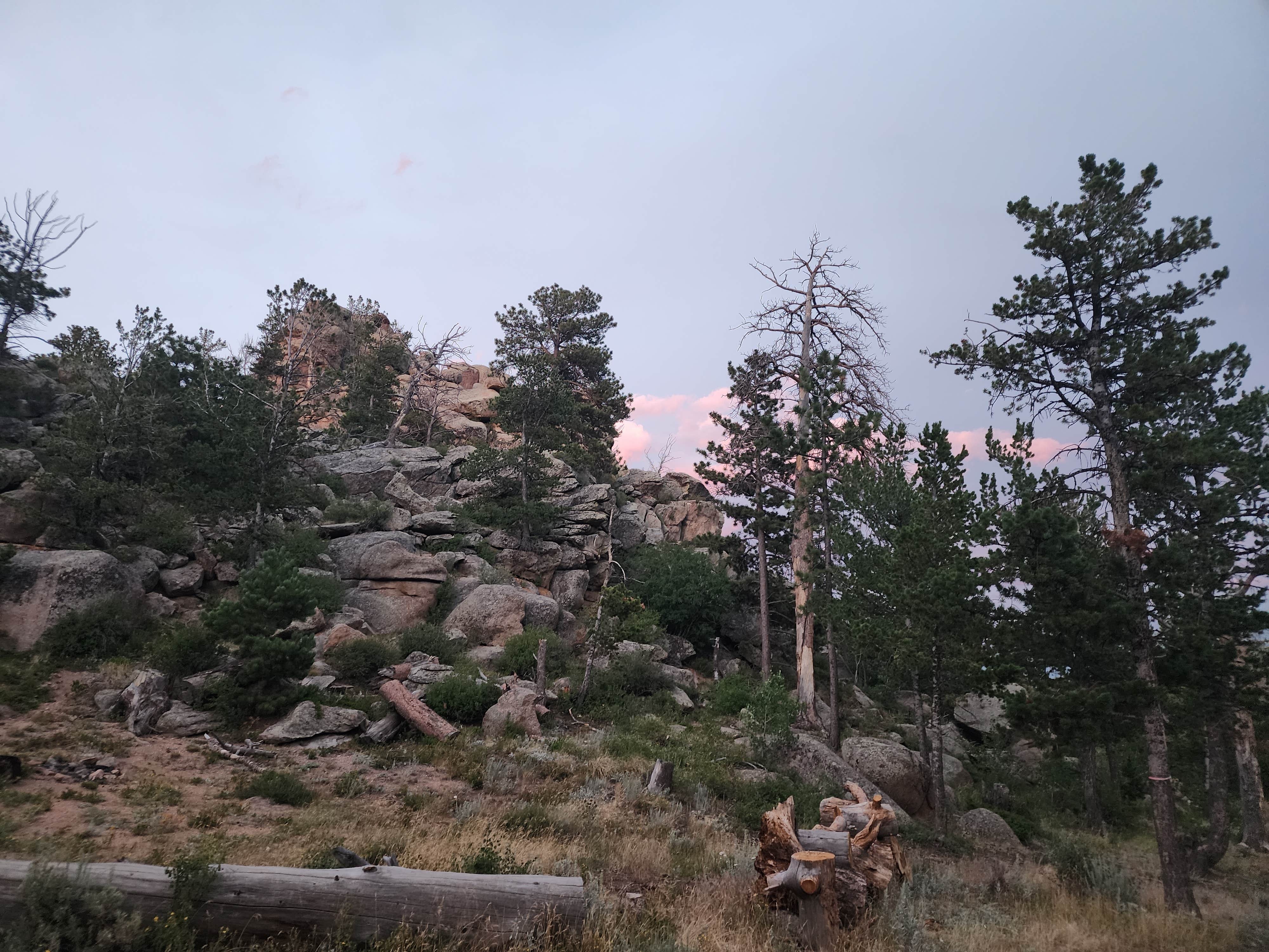 Camper-submitted photo at Pole Mountain Area- Dispersed Campsite, Medicine Bow NF near Laramie, WY