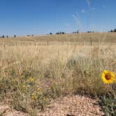 Review photo of Pole Mountain Dispersed Camping by Michael K., August 10, 2026