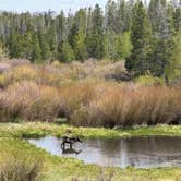 Review photo of Pole Mountain Dispersed Camping by M K., May 27, 2026