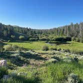 Review photo of Pole Mountain Dispersed Camping by Anthony , June 22, 2025