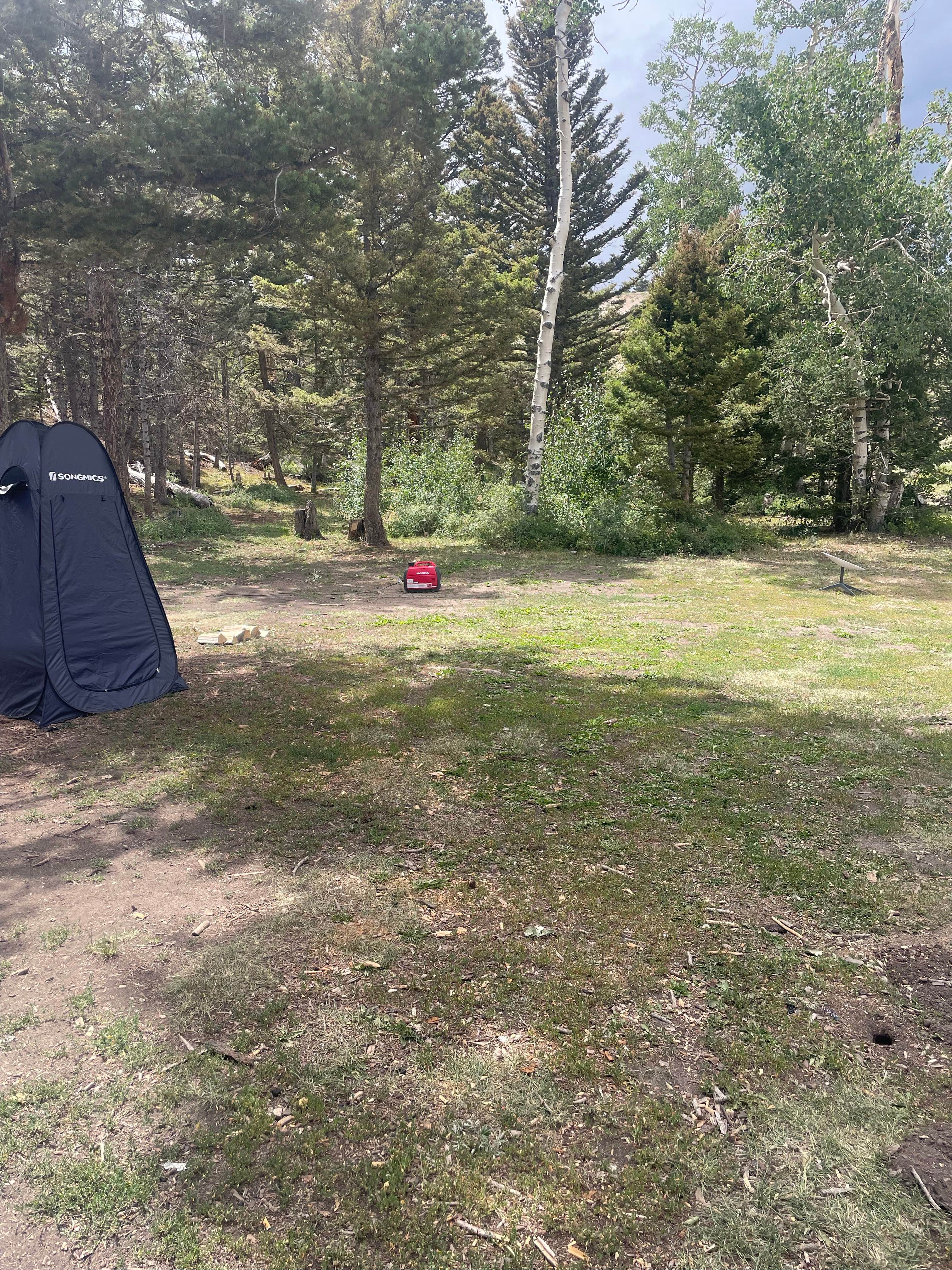 Camper submitted image from Polk Creek Road Dispersed Camping - 1