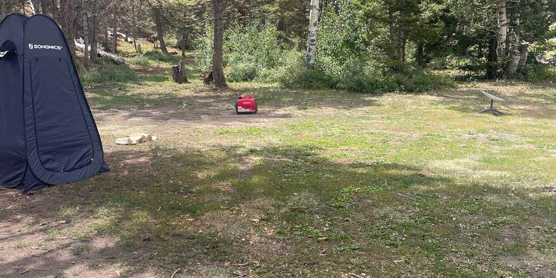 Camper submitted image from Polk Creek Road Dispersed Camping