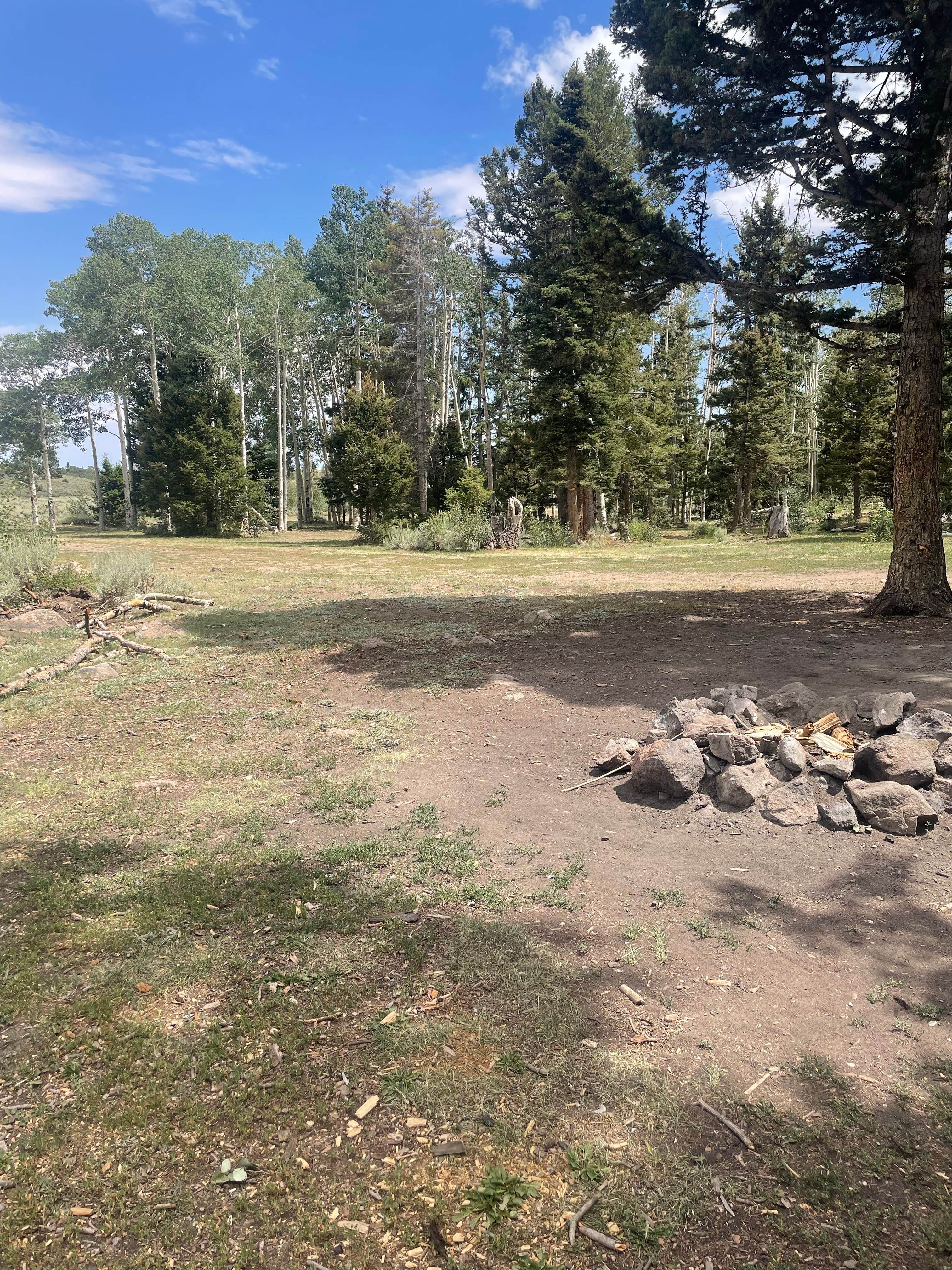 Camper-submitted photo at Polk Creek Road Dispersed Camping near Elsinore, UT
