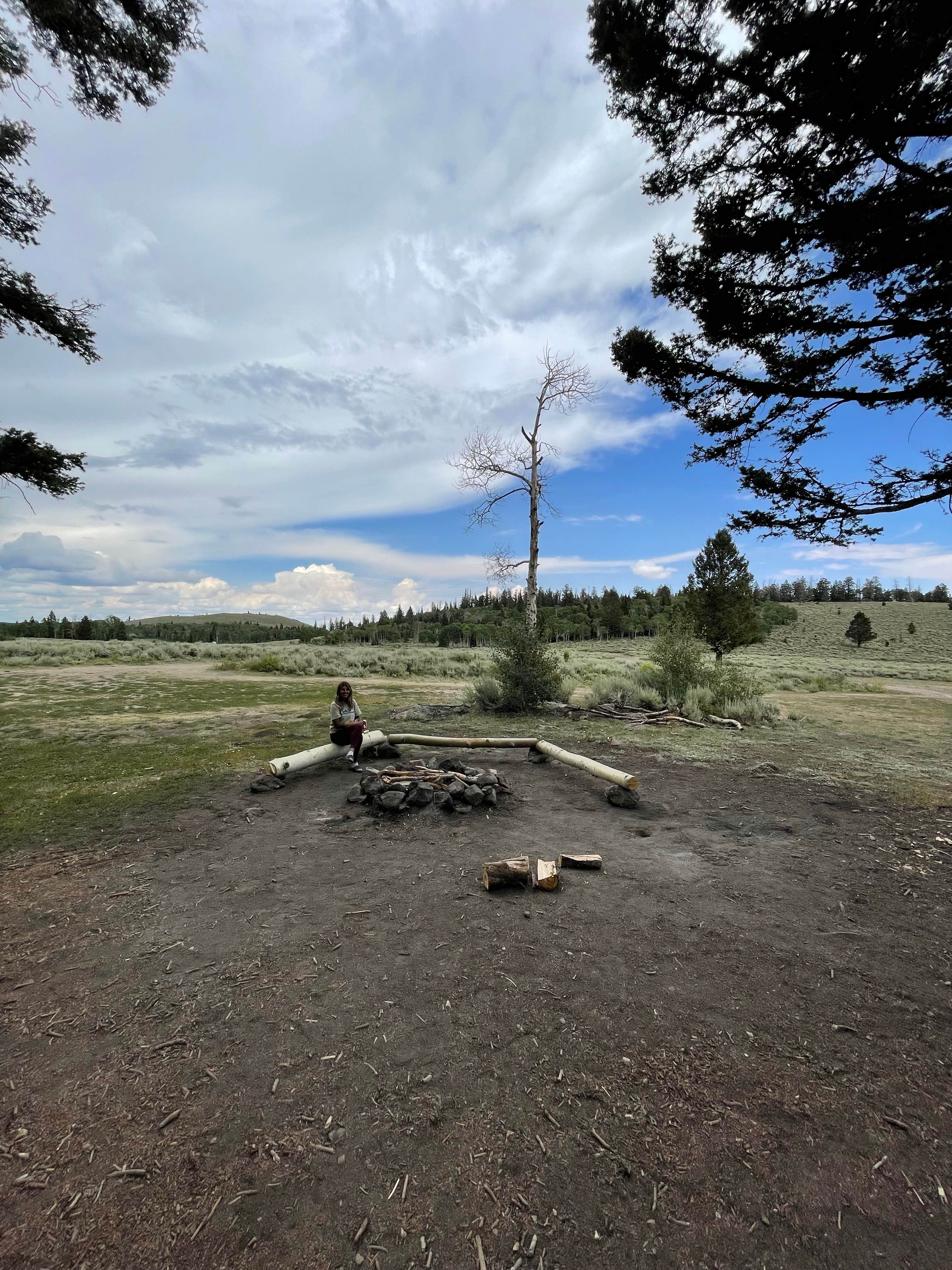 Camper-submitted photo at Polk Creek Road Dispersed Camping near Elsinore, UT