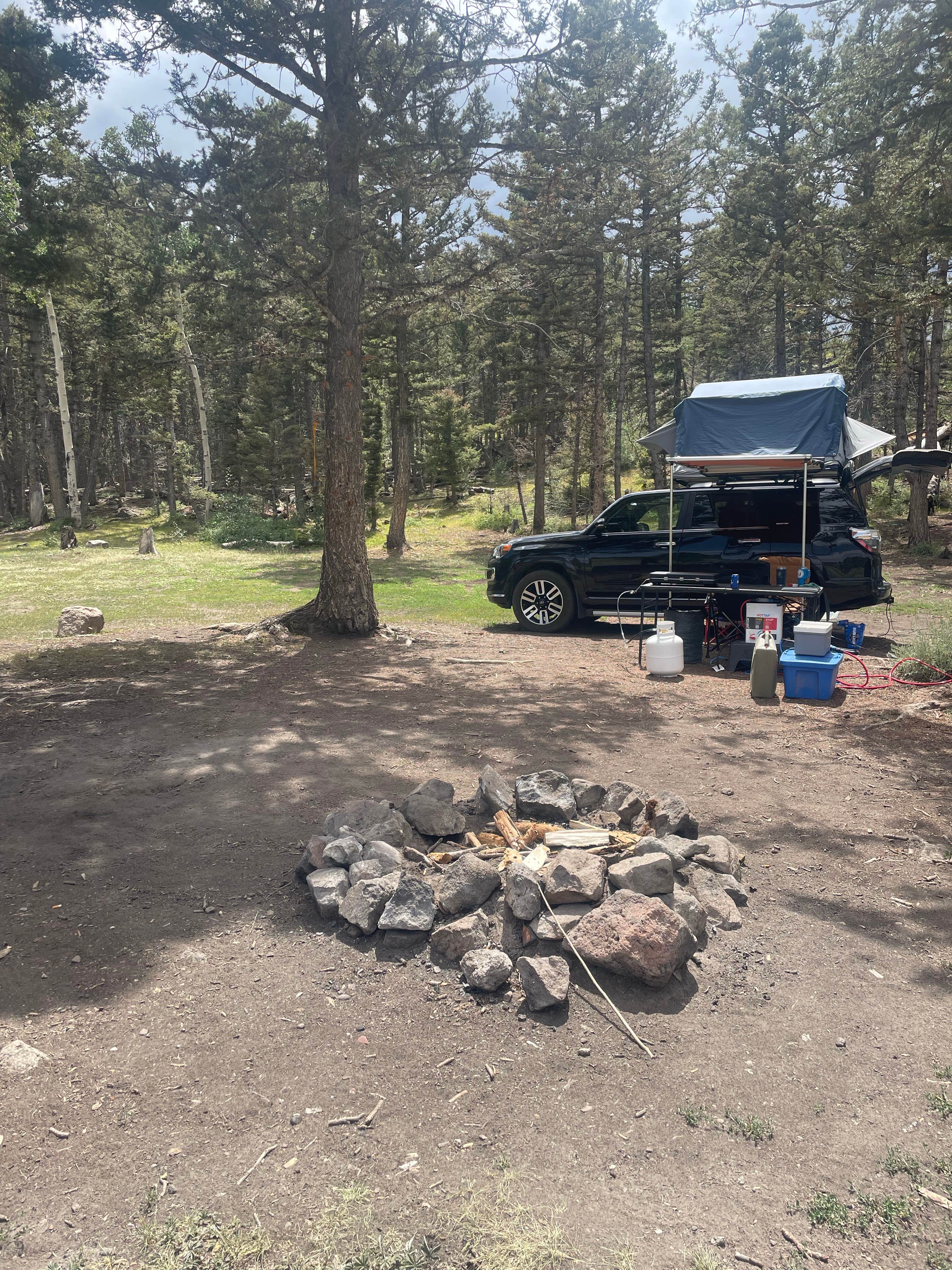 Azaali J.'s photo of a dispersed camping area at Polk Creek Road Dispersed Camping near Sigurd, UT