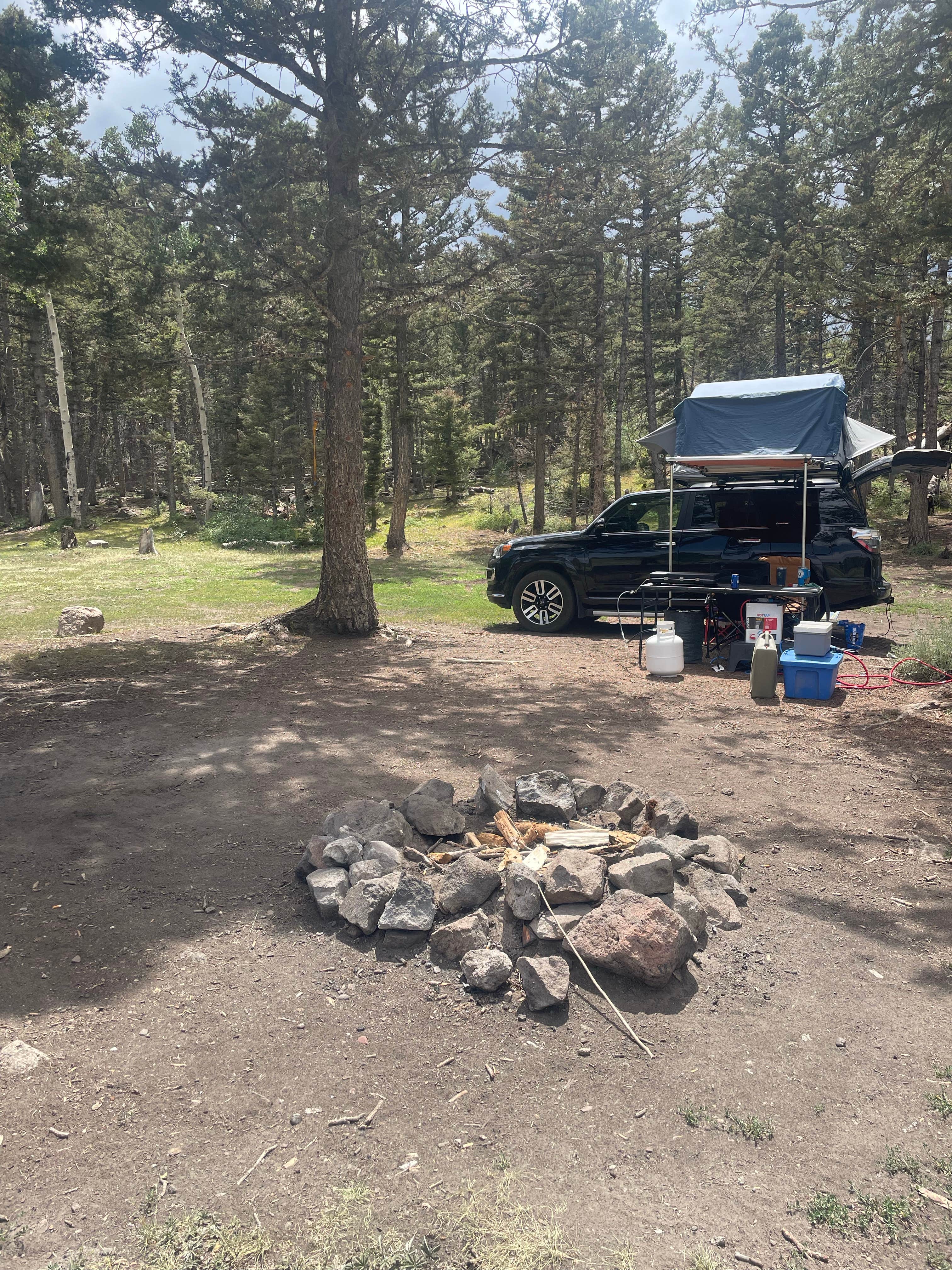 Camper submitted image from Polk Creek Road Dispersed Camping - 2