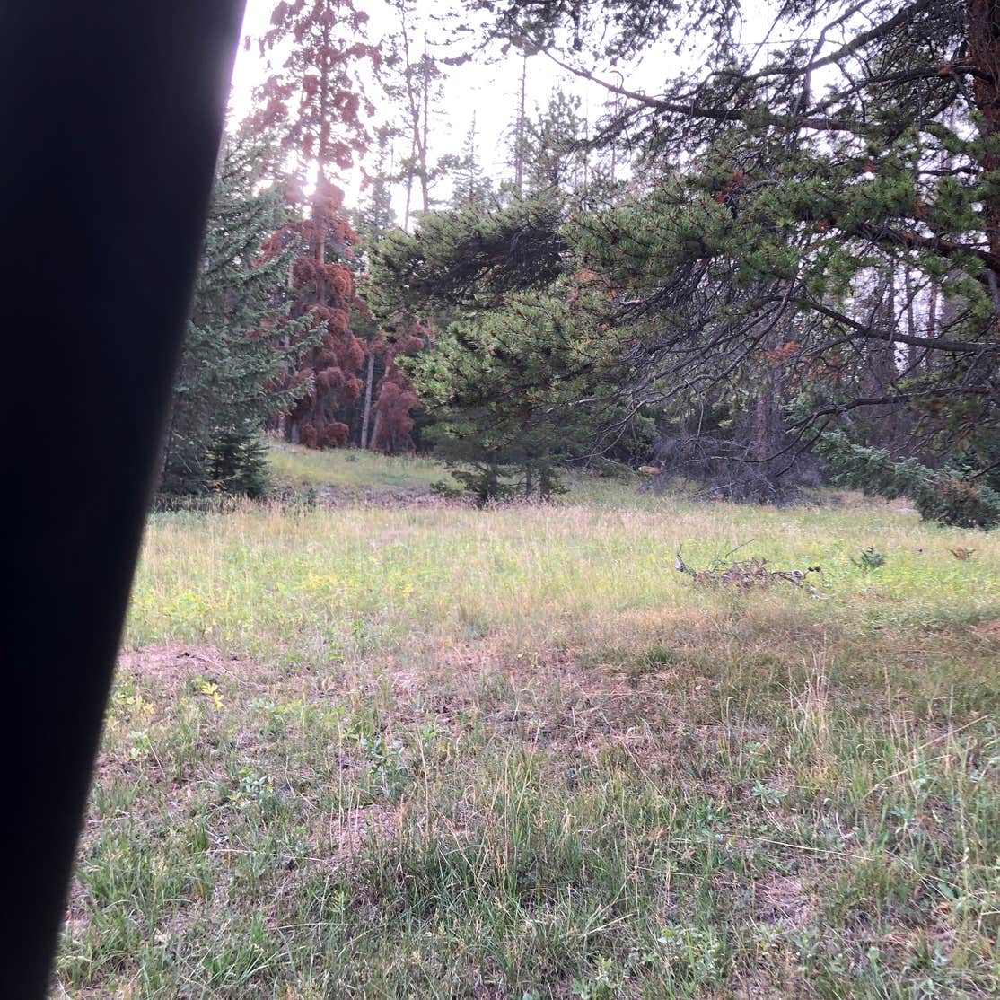 Poncha Pass Dispersed Camping | Poncha Springs, CO