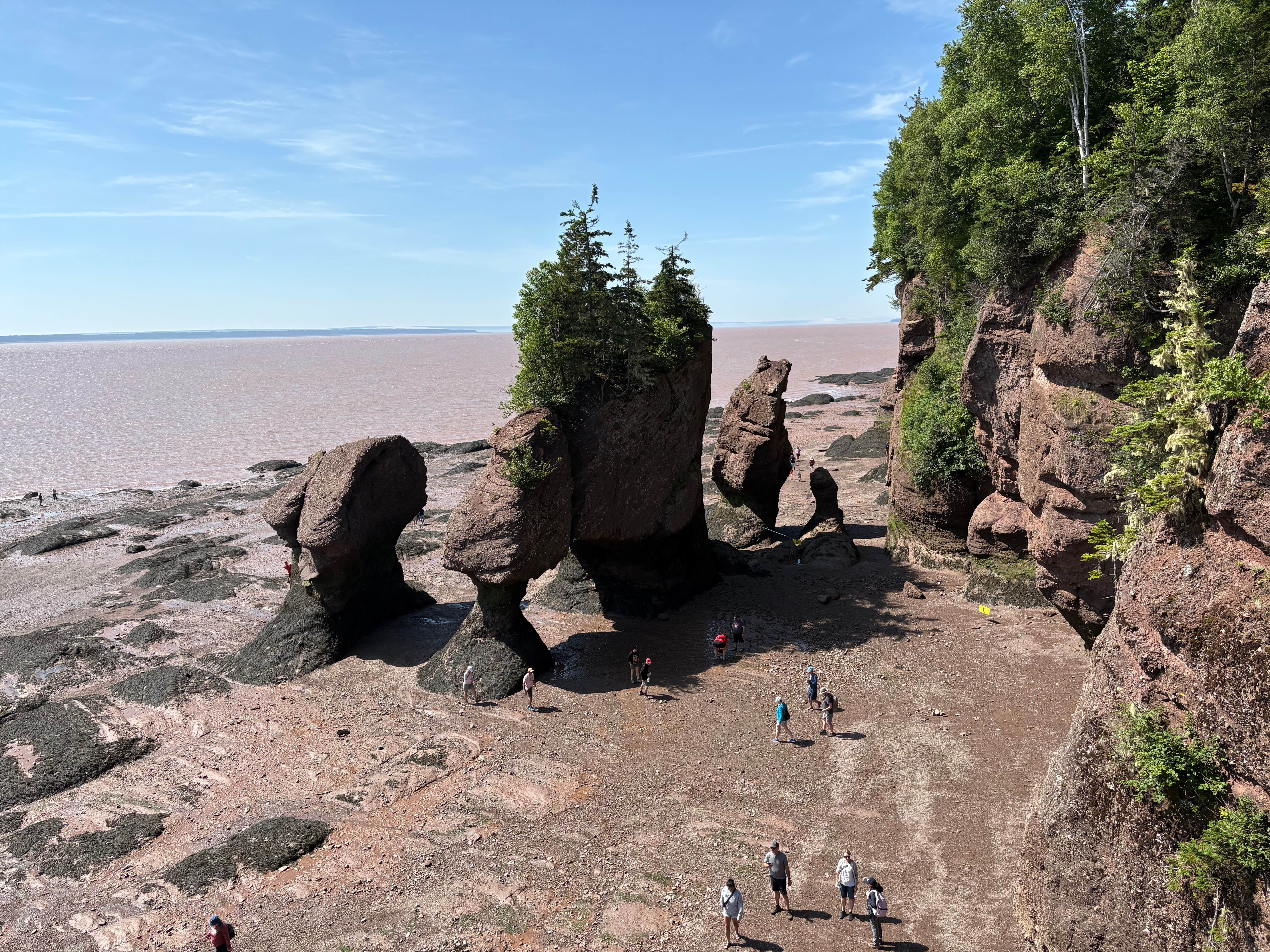 Camper submitted image from Ponderosa Pines - 3